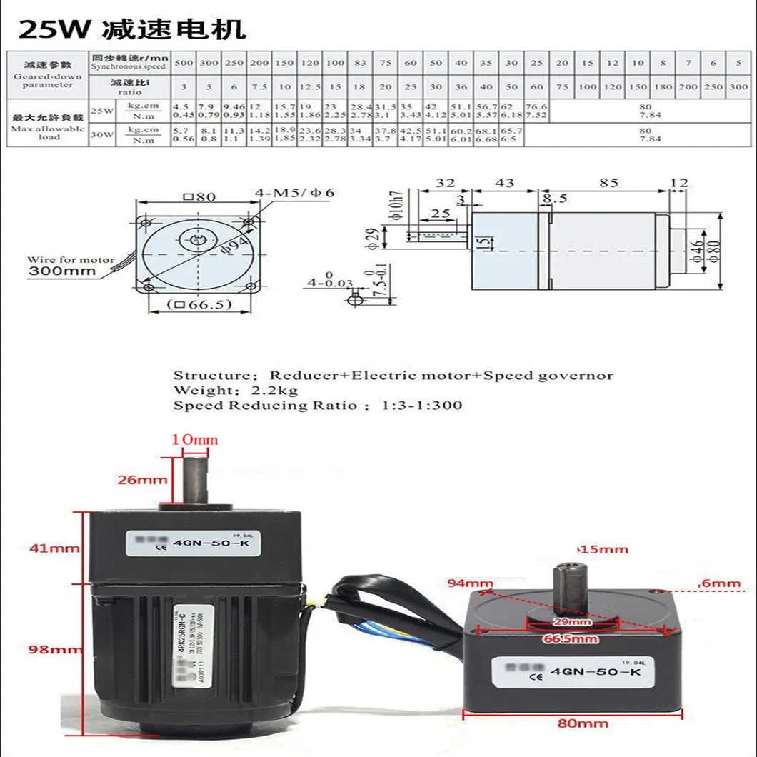 (6IK250GN-SS3FMT 6GN3K-180K) 104mm Gear Motor Electric Motors 250W