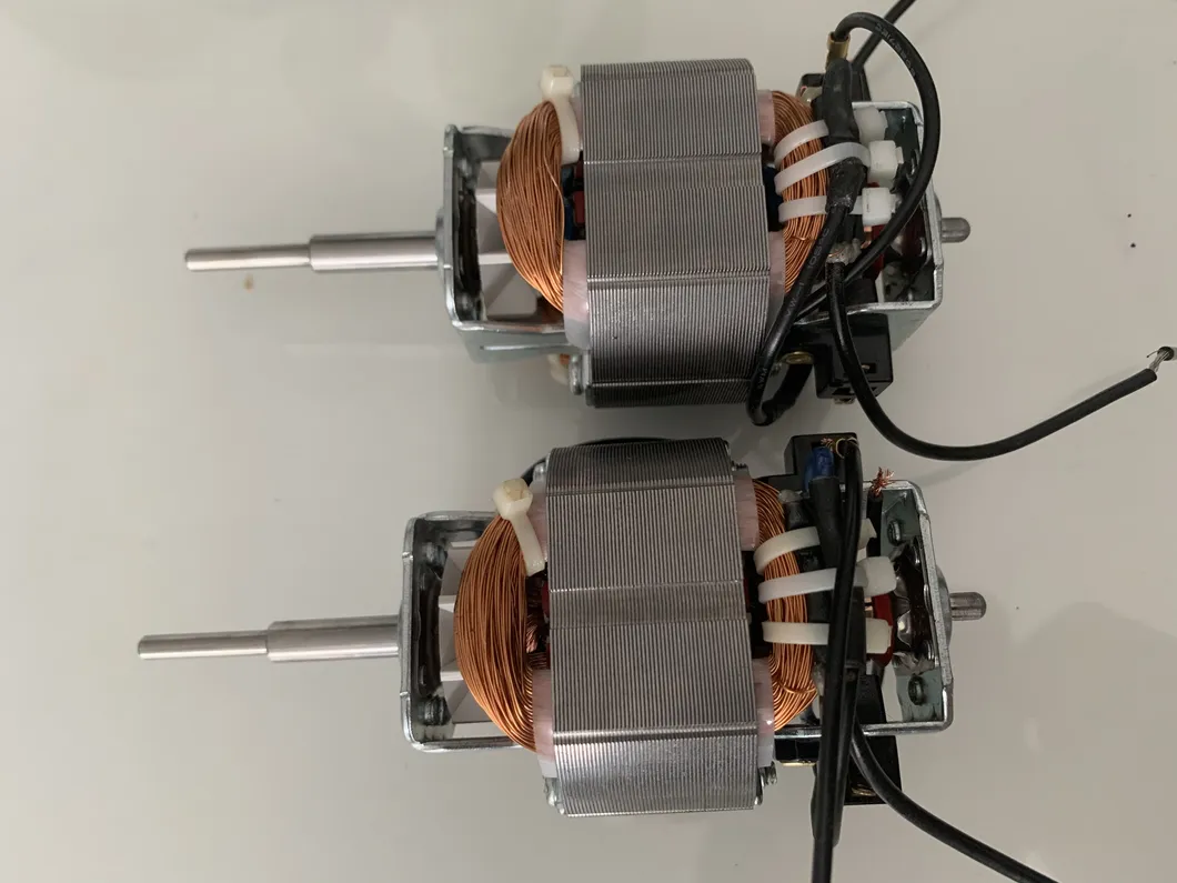 1 Phase 230V 3.7A Motor Elctrico 230V 700W 220 Volt AC Electric Motor 220 Volt Universal Motor