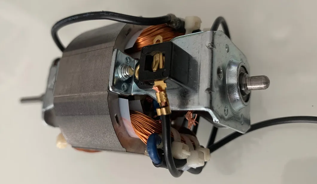 1 Phase 230V 3.7A Motor Elctrico 230V 700W 220 Volt AC Electric Motor 220 Volt Universal Motor