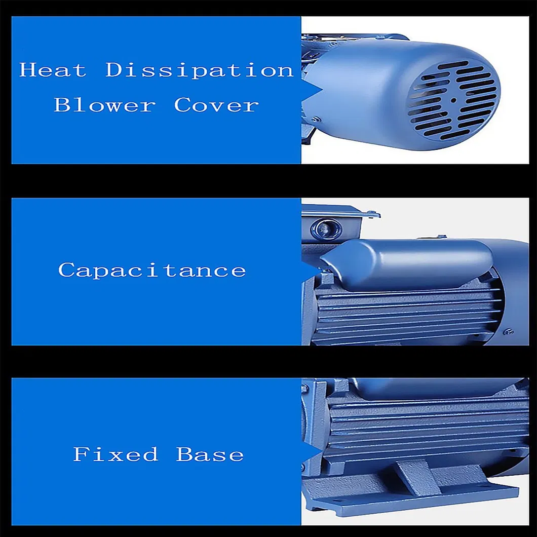 110V 220V 240V Single/Three Phase Electric Motor, Induction Electric Motor