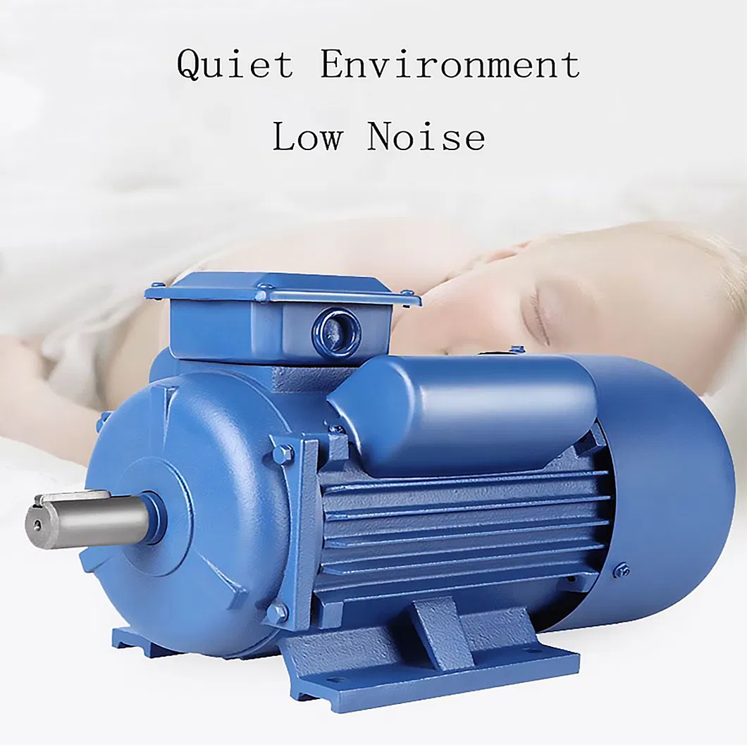 110V 220V 240V Single/Three Phase Electric Motor, Induction Electric Motor
