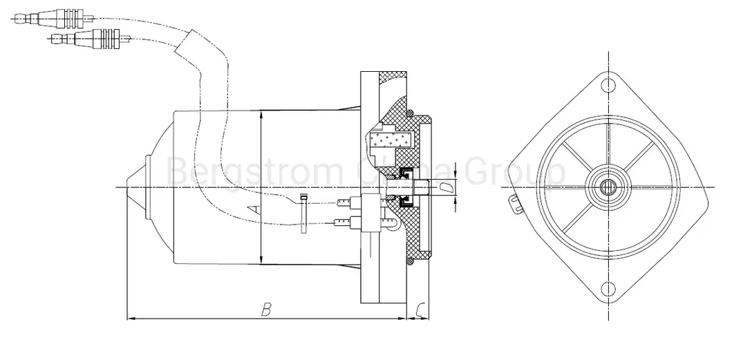 12V, 24V, 36V, 48V Outboard boat motor dc trim motor tilt motor electric motor oil pump motor BZY165 -0301