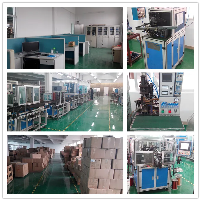 12V 24V DC Gear Motor High Torque Electric Motor Gearbox for Automatic Application