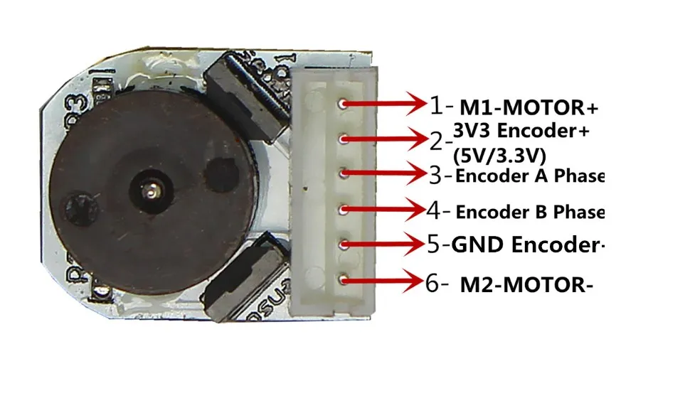 12V High Torque 60rpm Gear Motor with Encoder