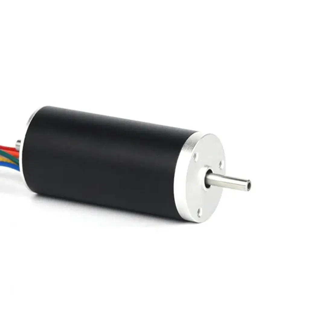 15V 6W Brushless DC Motor with CE, RoHS, ISO 9001 Certification