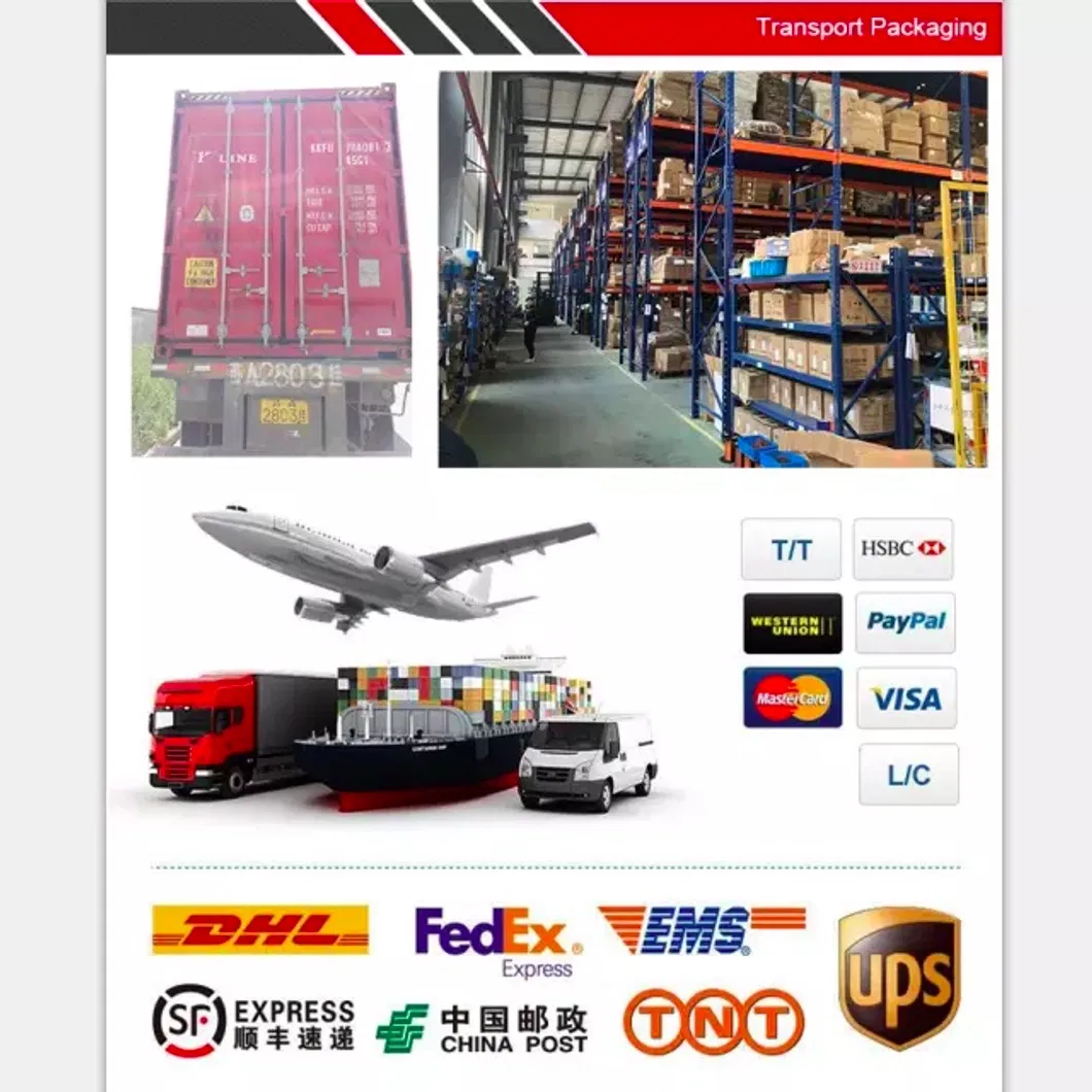 15V 6W Brushless DC Motor with CE, RoHS, ISO 9001 Certification