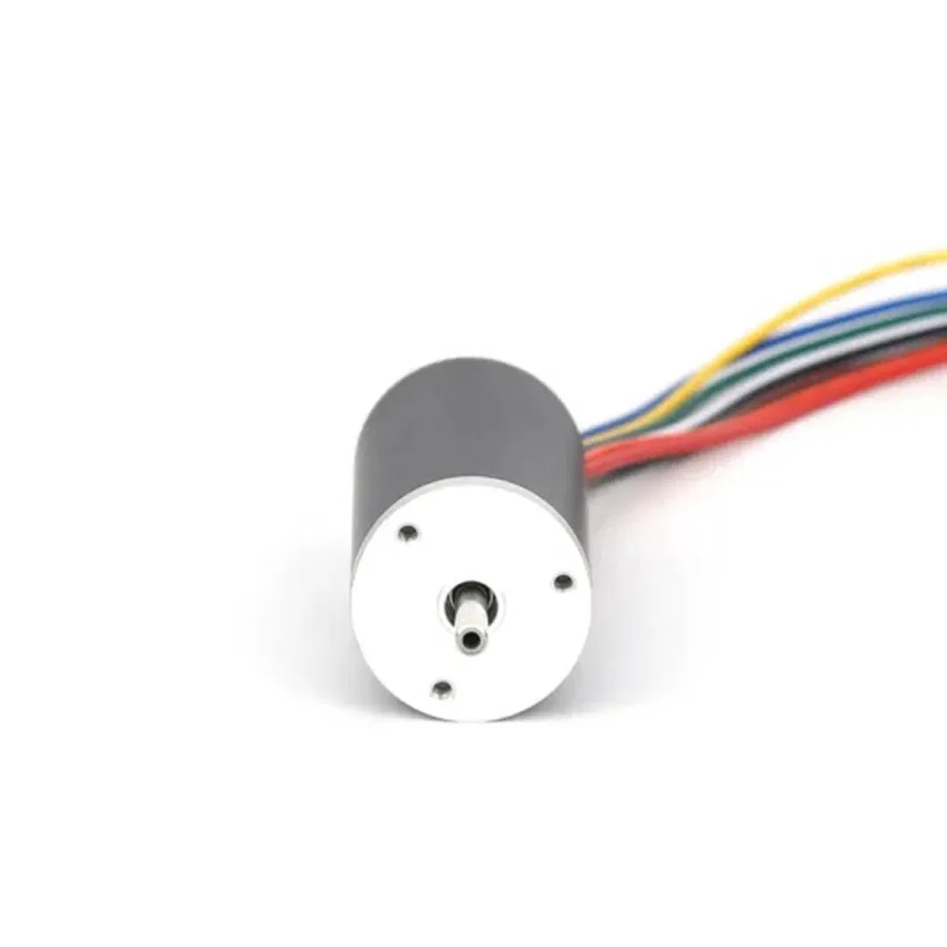 15V 6W Brushless DC Motor with CE, RoHS, ISO 9001 Certification