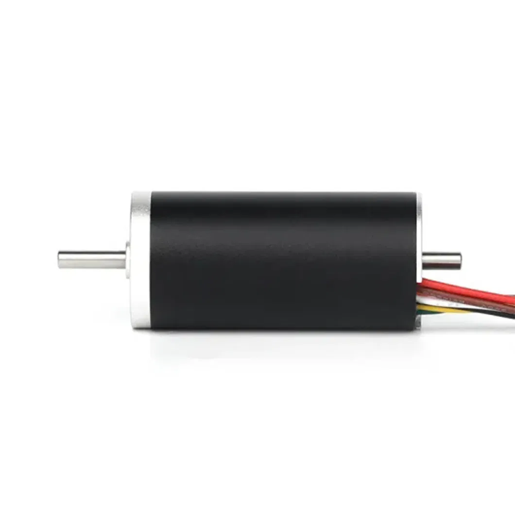 15V 6W Brushless DC Motor with CE, RoHS, ISO 9001 Certification
