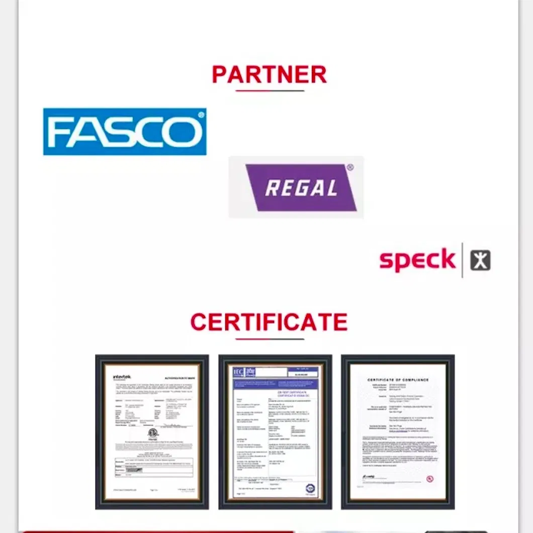 15V 6W Brushless DC Motor with CE, RoHS, ISO 9001 Certification