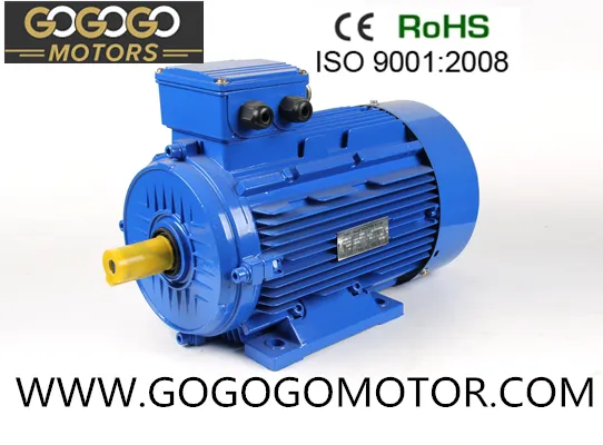 18.5kw 25HP 2 Pole Three Phase Asynchronous Electric Induction AC Motor