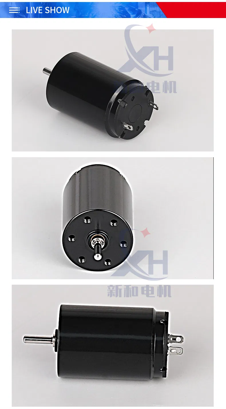 19*28mm Coreless Motor Tattoo Motor with Brushed for Eyebrow Tattoo Machine, Tattoo Pen Eyebrow Pen, Facial Massager