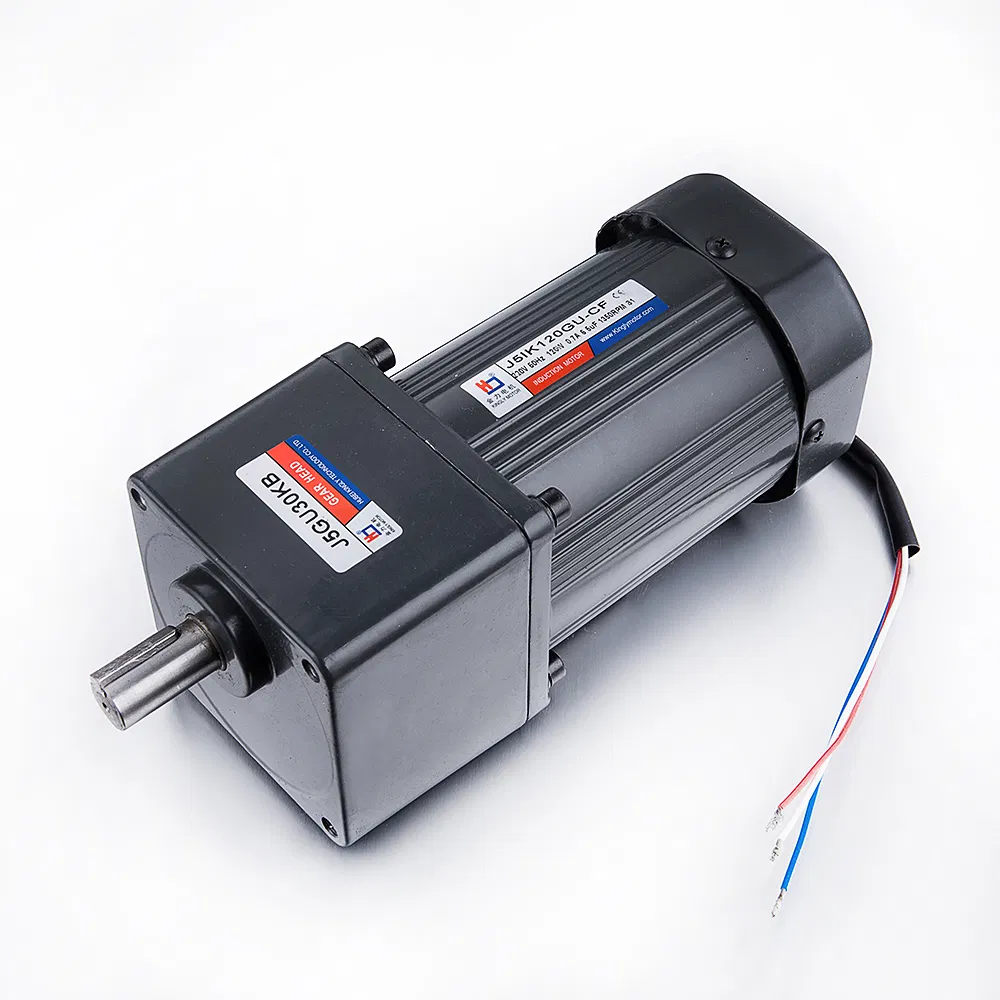 220V 110V 500W Single Phase AC Gear Motor