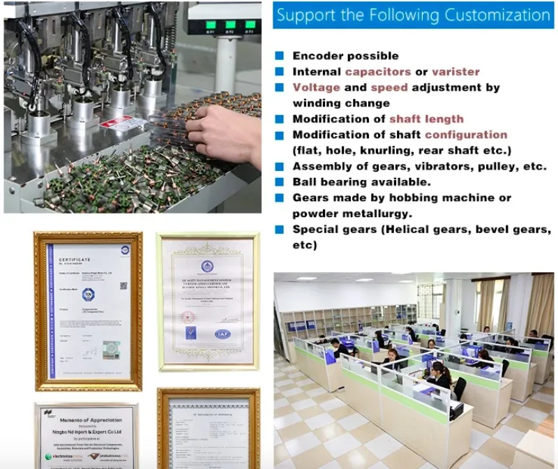 220V 110V 500W Single Phase AC Gear Motor