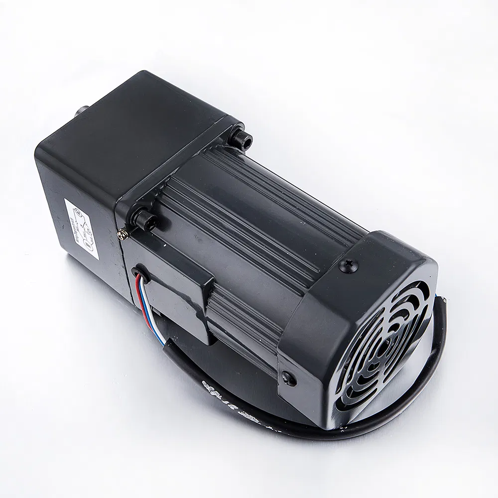 220V 110V 500W Single Phase AC Gear Motor
