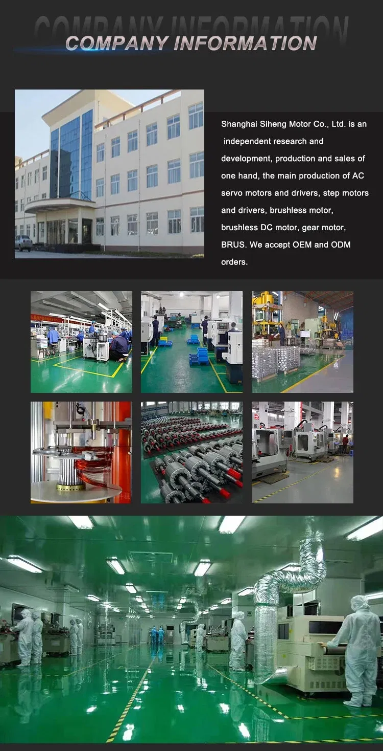 3 Phase Ce Quality 730W AC Servo Motor and Driver 220V or 110V 3000rpm 80mm 3.5nm DC Motor for Wood Carving Machine