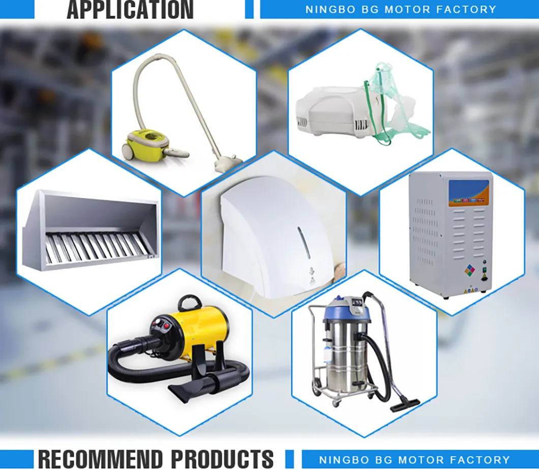 429W Dry Vacuum Cleaner Motor