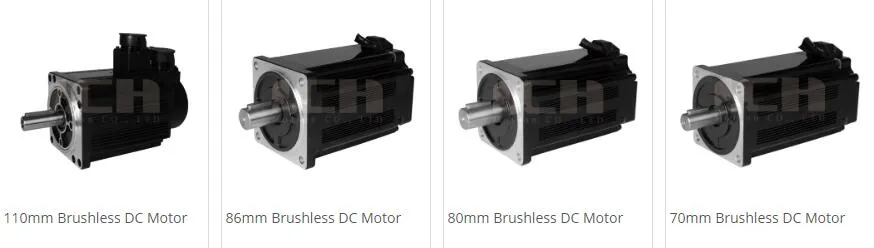 43mm 240V 45W Low Speed Permanent Magnet Brushless DC Motor