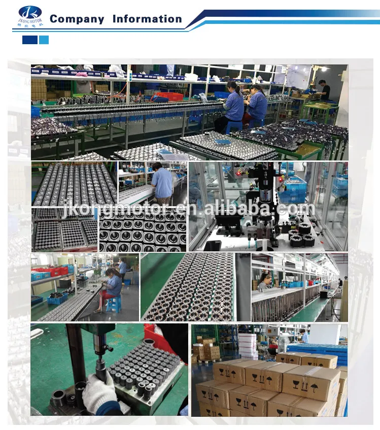 48V DC 86mm Customizable Stepper Motor with Worm Gearbox High Precision