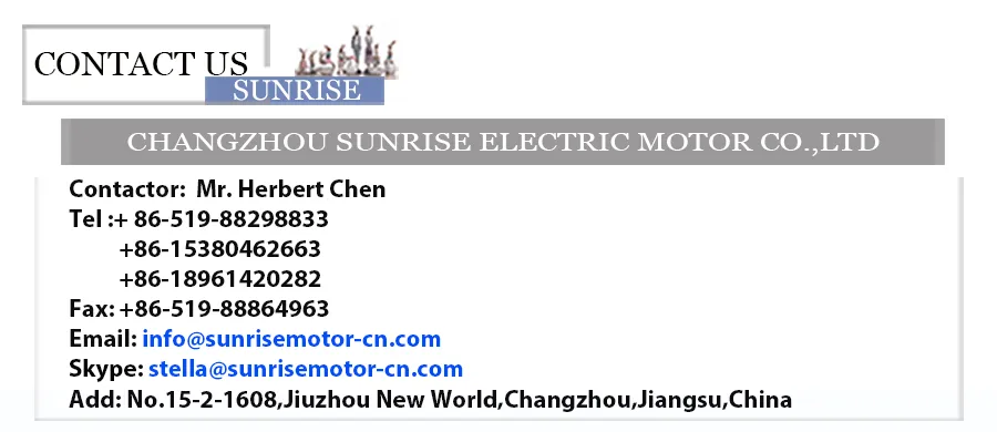 76.2mm 180V DC 0.4A Permanent Magnet DC Motor