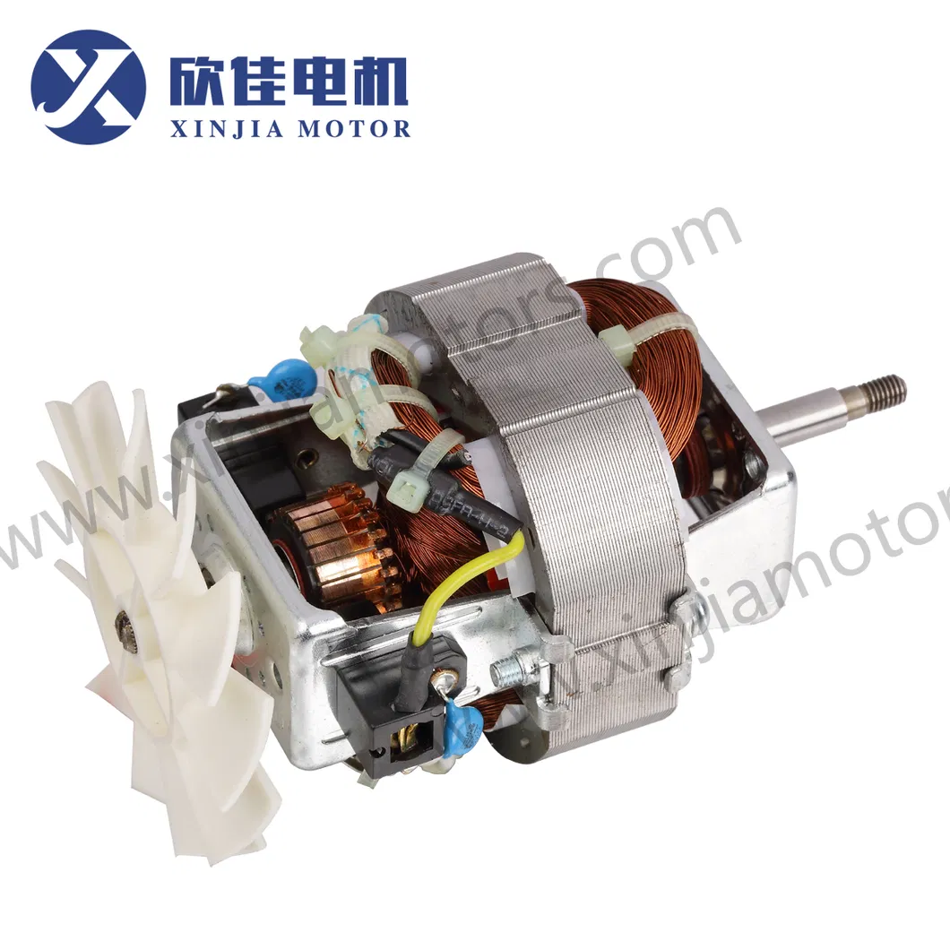 AC Motor DC Motor Electric Processor Motor High Speed Motor for Kitchen Application Hc7020