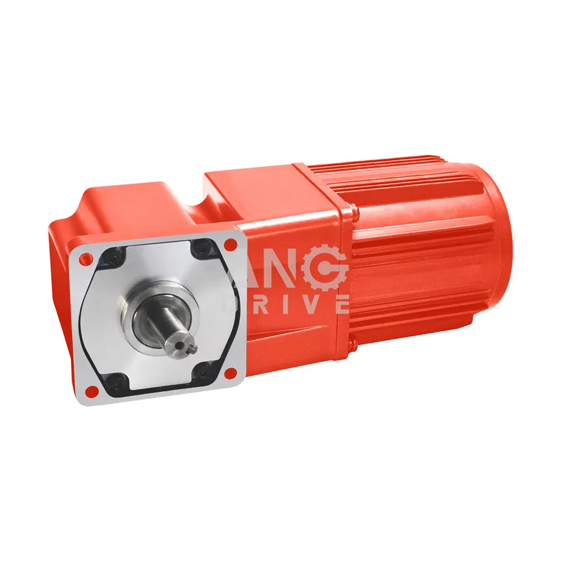 Ang 200W 250W 100*100mm AC Right Angle Gear Motor