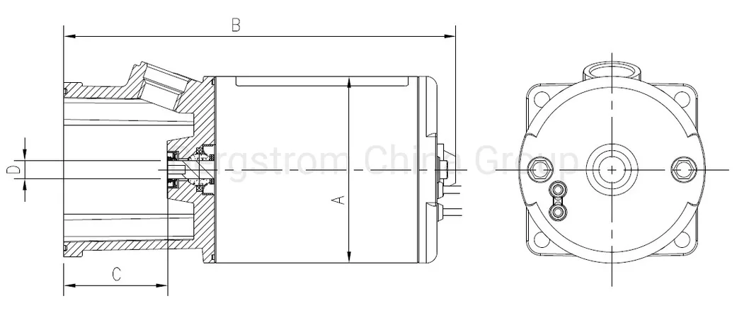 CE approved IP68 12V, 24V, 36V, 48V up to 1,000W Outboard boat motor dc trim motor tilt motor electric motor oil pump motor BZY18 -0801