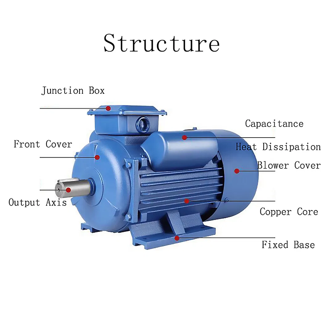 CE Approved Single Phase Induction Motor AC Motor Electric Motor (YC YL YY MY ML)