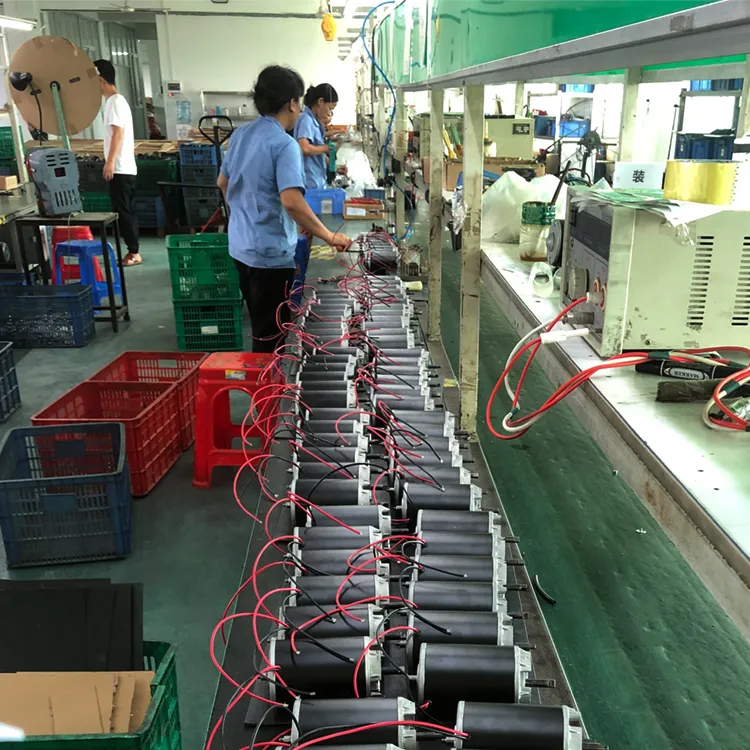 DC Electrical Gear Motors 120W 24V 60rpm / 80 Rpm Worm Gear Electric Motor with Long Shaft