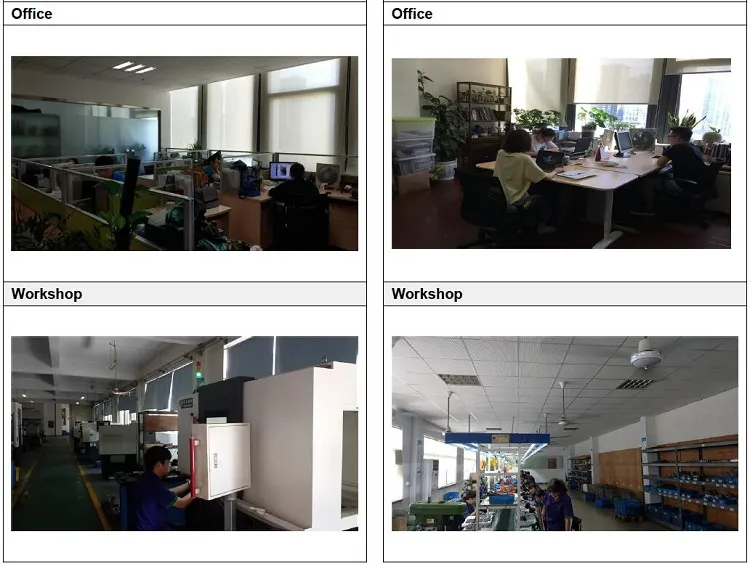 DC Worm Gear Motor for Lives a Broad Saloon Car