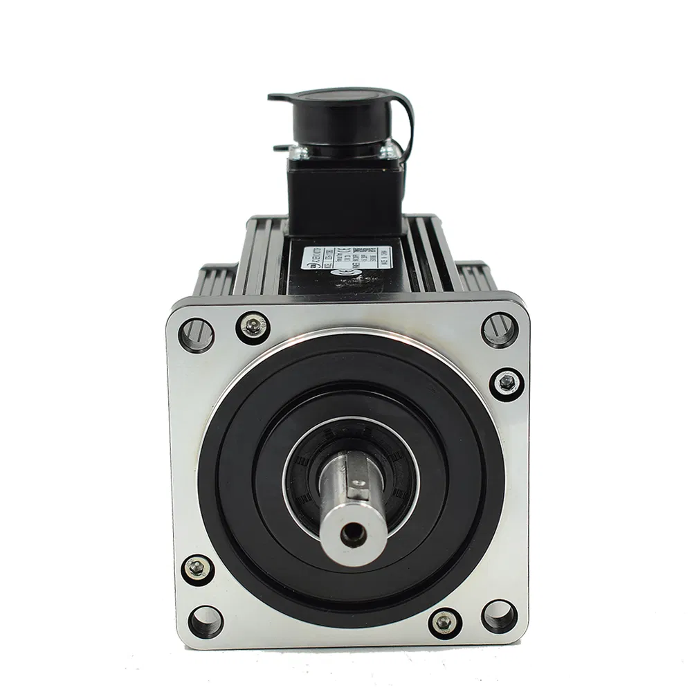 High Quality 220V, 15nm, 2300W 1500r/Min AC Servo Spindle Motor for Boat Electric Motor