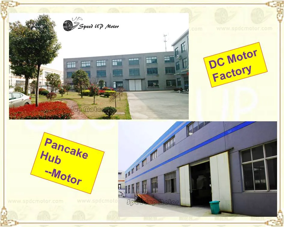 High Torque 30nm Electrical PMDC Geared Motor for Moblility Scooter/Vehicle