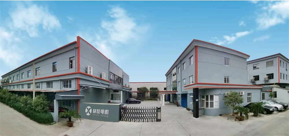 High Torque Efficiency DC Gear Motor for Juicer Extractor