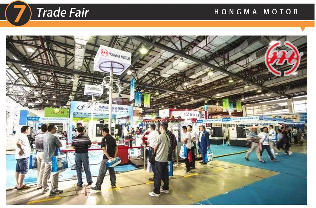 Hmdt Series Three-Phase Multispeed Induction Motor