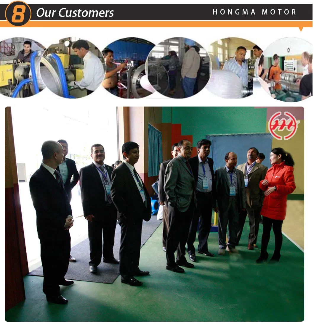 Hmdt Series Three-Phase Multispeed Induction Motor