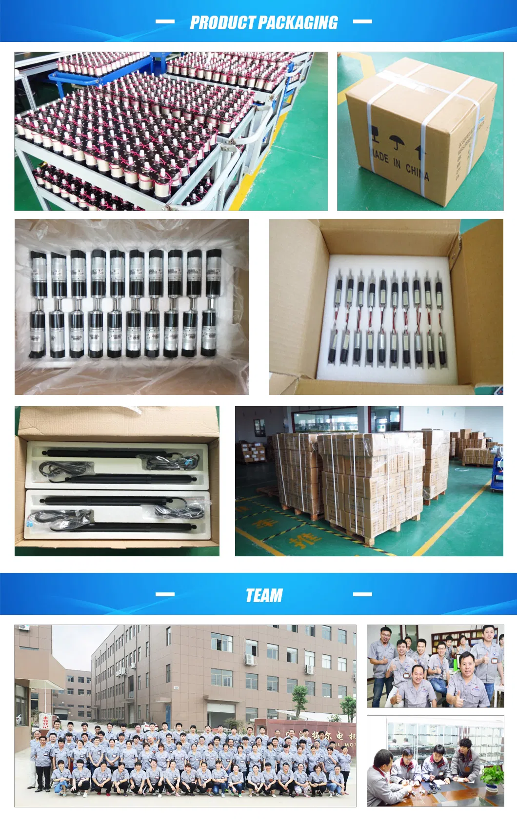 Hot Sale Tt-545 DC Gear Motor