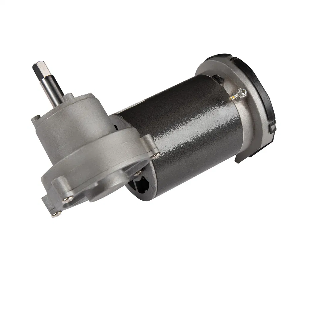 Lanshan E00 200W 48rpm with Application for Oil Press Pasta Maker Slow Juicer DC Gear Motor