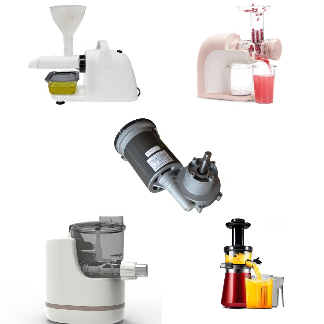 Lanshan E00 200W 48rpm with Application for Oil Press Pasta Maker Slow Juicer DC Gear Motor