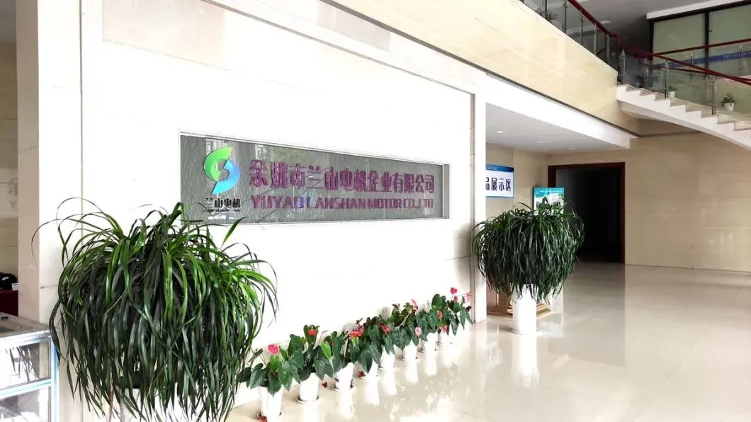 Lanshan E00 Home Appliances Brushed Motor High Torque Low Speed 48rpm Brush DC Gear Motor