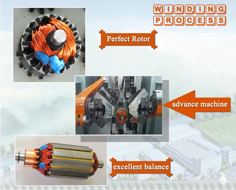 Manufacturer Supplier DC 12V 24V 36V 42V Water Pump Motor