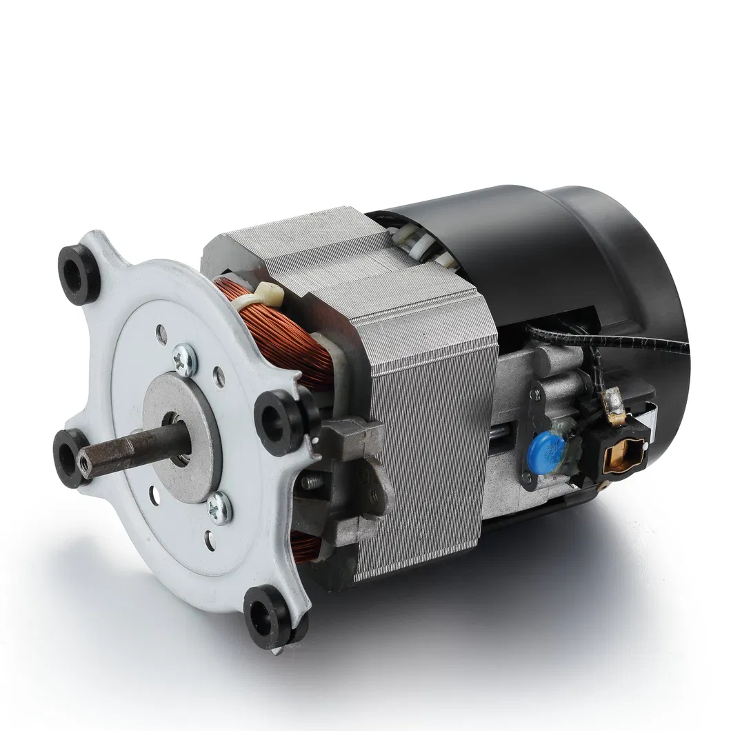 Model 7625 AC Universal Electric Motor 220V
