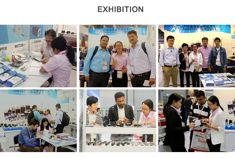 NEMA17 Ce Certification Single Milling Flat Stepper Motor (42SHD0217-24B)