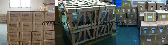 Omeik High Quality Low Noise Ie 2 1 Phase Induction Motor