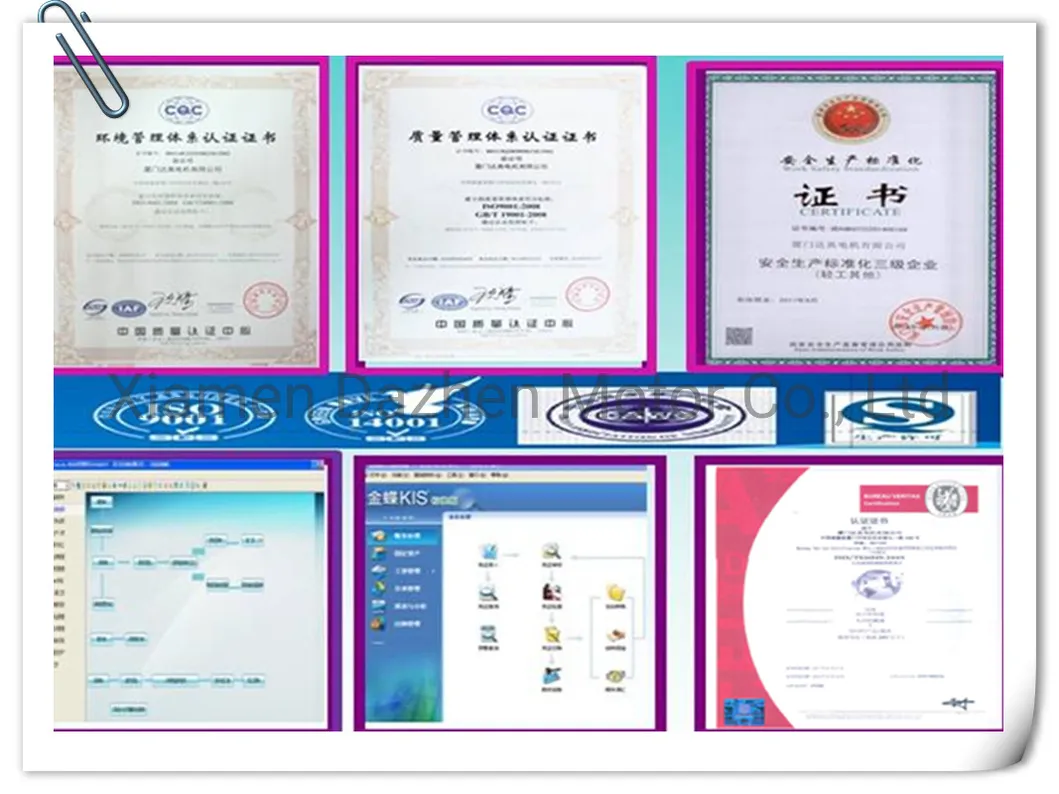 Small DC Magnetic Electrical Vibration Motor