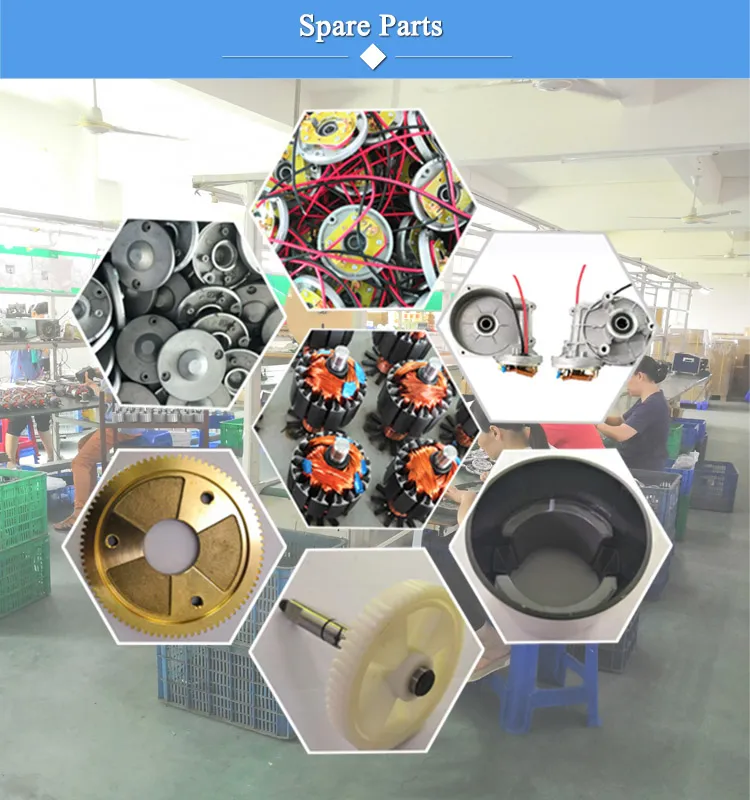 Strong Self-Lock DC Worm Gear Motor 12V High Torque Reduction Gearbox with Encoder