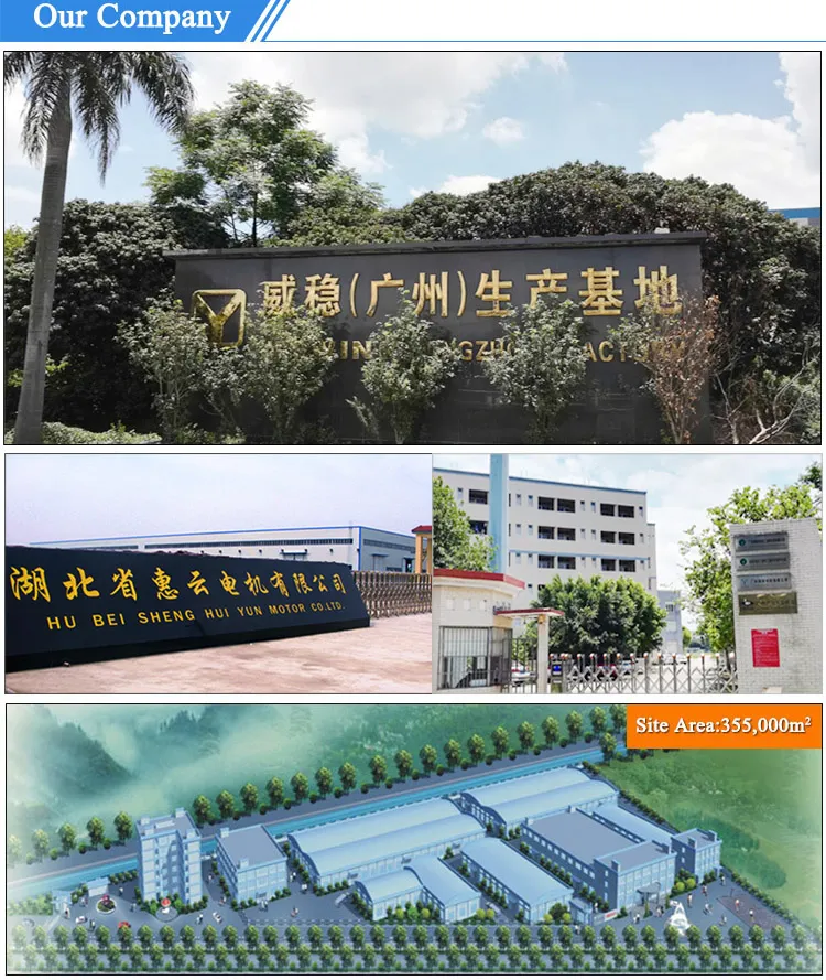 Strong Self-Lock DC Worm Gear Motor 12V High Torque Reduction Gearbox with Encoder