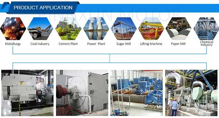 T Tk Tdmk Large Size Synchronous High Voltage Ball Mill AC Electric Induction Three Phase Motor