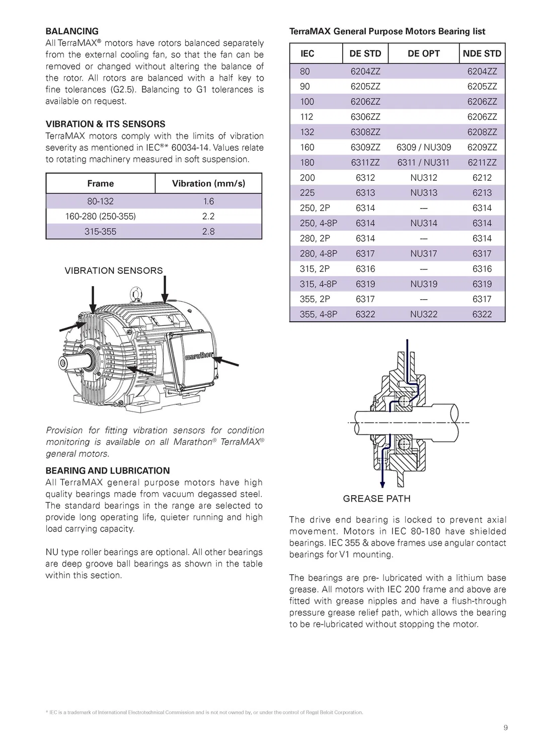 TCA Series-160kw/Ie3 Efficiency/Three Phase/Induction/AC/Low Voltage Motor