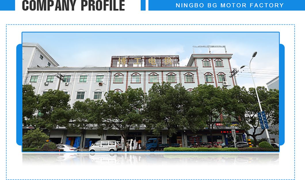 Wet and Dry Electric Motor for Vacuum Cleaner