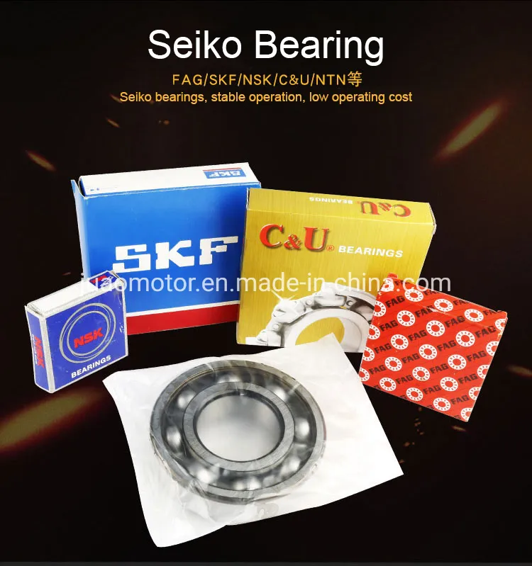 Y3 Series Three-Phase Asynchronous Electric/Electrical AC Motor