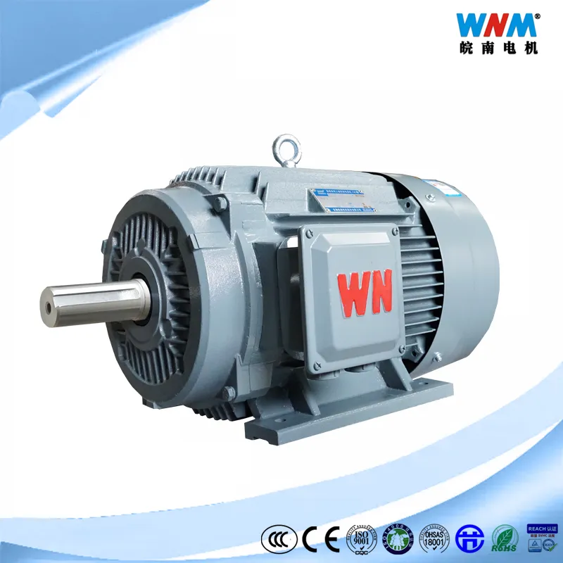 Ye2 Ce Approved 160kw Ye2-315L1-4 Poles 1485r/Min Cast Iron Three Phase Asynchronous AC Electric Motor